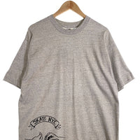 90's SKATE N.Y.C. スケート プリントTシャツ グレー USA製 フルーツオブザルーム Size XL 福生店