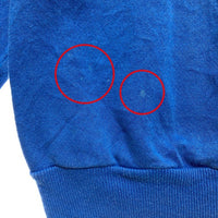 Pannill パニール by Hanes 90's USA製 雪柄プリント スウェットトレーナー ブルー sizeM 瑞穂店