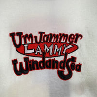 WIND AND SEA ウィンダンシー UmJammer Lammy WDS raglan TEE ウンジャマラミー ラグランスリーブTシャツ ブラック 刺繡プリント WDS-UJL-02 Size L 福生店