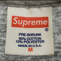 Supreme シュプリーム 15AW Child Of Hell Tee チャイルドオブヘル プリントTシャツ グレー sizeM 瑞穂店