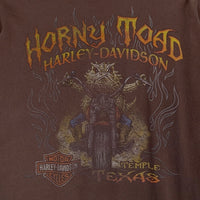 00's HARLEY-DAVIDSON ハーレーダビッドソン ダブルサイド プリントTシャツ スカル テキサス チャコール Size XXL 相当 福生店