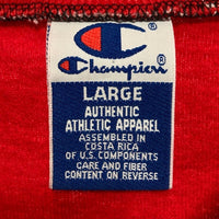 90's~ Champion チャンピオン NBA CHICAGO BULLS シカゴ・ブルズ Vネック プルオーバートップス 半袖 ブラック レッド Size L 瑞穂店