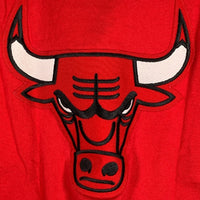 90's~ Champion チャンピオン NBA CHICAGO BULLS シカゴ・ブルズ Vネック プルオーバートップス 半袖 ブラック レッド Size L 福生店