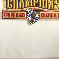 90's NBA CHICAGO BULLS シカゴブルズ 96年ファイナル ロッカールーム Tシャツ STARTER Size M 福生店