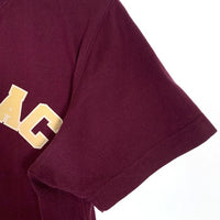 Evisu エヴィス 前V MANIAC プリントTシャツ パープル Size S 福生店