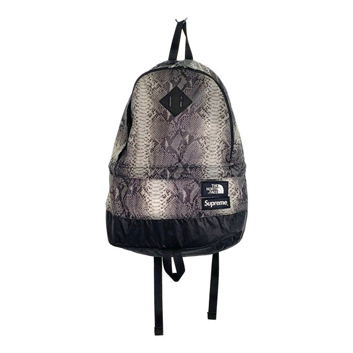 SUPREME シュプリーム 18SS THE NORTH FACE ノースフェイス Snake Flyweight Daypack スネー –  GolRagオンラインショップ