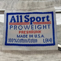 All Sport オールスポーツ USA製 シングルステッチ 1995 バスケットボール Tシャツ グレー sizeL※右脇汚れあり 瑞穂店