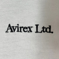 AVIREX アヴィレックス FLYOVER HIGH BOMB BURST バックプリント Tシャツ ブルーグレー sizeL 瑞穂店
