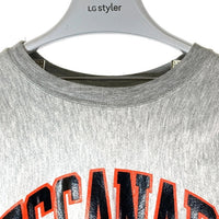 Champion チャンピオン 刺繍タグ USA製 90's ラバープリント 2段 ESCANABA ESKYMOS リバースウィーブ スウェットトレーナー グレー sizeM 瑞穂店