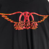 90's Aerosmith エアロスミス GET A GRIP プリントTシャツ ブラック Hanes USA製 Size XL 福生店