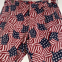 SUPREME シュプリーム 20SS WORK SHORT FLAGS ショーツ ショート ハーフパンツ 星条旗 アメリカ国旗 Size 34 福生店