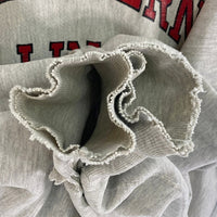 Champion チャンピオン 90's 刺繍タグ USA製 リバースウィーブ NORTHERN ILLINOIS カレッジロゴ 2段 スウェットパーカー グレー sizeXL 瑞穂店