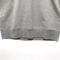 THE NORTH FACE ザノースフェイス 10oz マウンテンスウェットパーカー NT6804N ライトグレー sizeS 瑞穂店