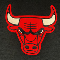 90's~ NIKE ナイキ NBA CHICAGO BULLS シカゴ・ブルズ ゲーム フットボールシャツ ジャージ プルオーバー ブラック ワッペン 刺繡 Size L 福生店