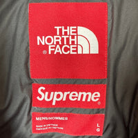 Supreme シュプリーム THE NORTH FACE ザノースフェイス ND91901I 19FW Statue of Liberty Baltoro Jacket レッド sizeL 瑞穂店
