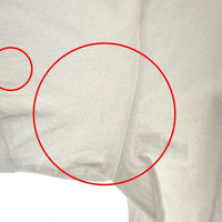 Stussy ステューシー ボタニカル ワールドツアー Tシャツ ホワイト sizeL 瑞穂店