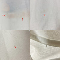 Hanes ヘインズ USA製 90's スーベニア プリント Tシャツ ホワイト sizeXL※所々汚れあり 瑞穂店