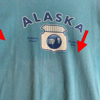 anvil アンビル ALASKA アラスカ 半袖 Tシャツ グリーン Size L 福生店