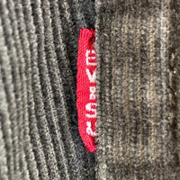 EVISU エヴィス LOT.2045 カモメ コーデュロイパンツ グレー size30 瑞穂店