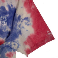 STANDARD CALIFORNIA スタンダードカリフォルニア GOHEMP ゴーヘンプ SD TIE DYE DEAD LOGO TEE タイダイ ロゴプリントTシャツ レッド Size L 福生店