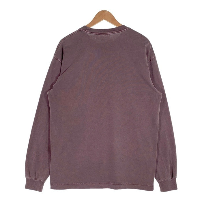 Carhartt 長袖シャツ パープル Carhartt W.I.P. カーハート L/S Vista T-Shirt ロングスリーブ