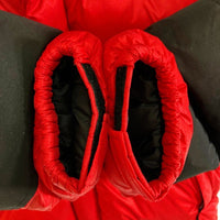 THE NORTH FACE ノースフェイス GORE DRY LOFT ダウンジャケット レッド sizeS 瑞穂店