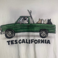 TES The Endless Summer ザ エンドレスサマー 4BUHI SURF TRUCK 半袖 Tシャツ ホワイト Size L 福生店