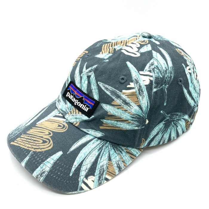 Patagonia パタゴニア 38296SP11 P-6 ラベル トラッド キャップ