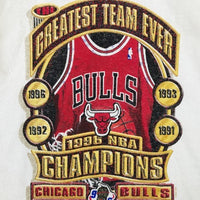 90's NBA CHICAGO BULLS シカゴブルズ 96年ファイナル ロッカールーム Tシャツ STARTER Size M 福生店