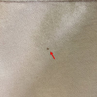 NIKE ACG ナイキ エーシージー 00's 旧ロゴ カーゴショーツ ベージュ sizeS 瑞穂店