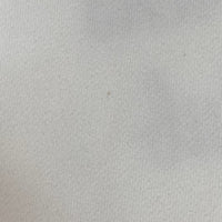 BUZZ RICKSON'S バズリックソンズ YTS68 MOSQUITO CLUB 半袖 スウェット ホワイト sizeM 瑞穂店