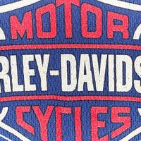 90's HARLEY DAVIDSON ハーレーダビッドソン HOLOUBEK ロゴプリント サーマルカットソー ブルー Size L 福生店