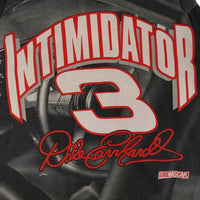 NASCAR Dale Earnhardt Intimidator 3 All Over Print Tee オーバープリント Tシャツ レーシング CHASE ブラック Size XL 福生店
