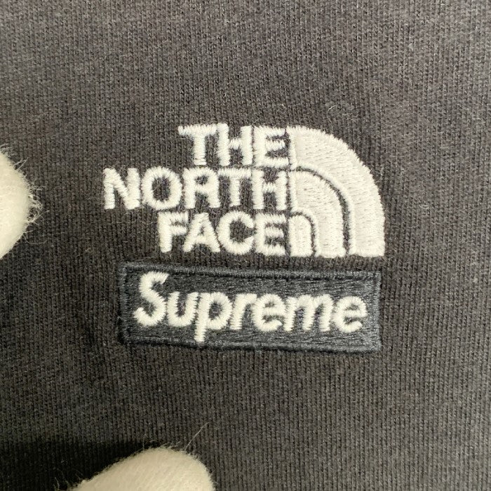 SUPREME シュプリーム 22SS THE NORTH FACE ノースフェイス Bandana