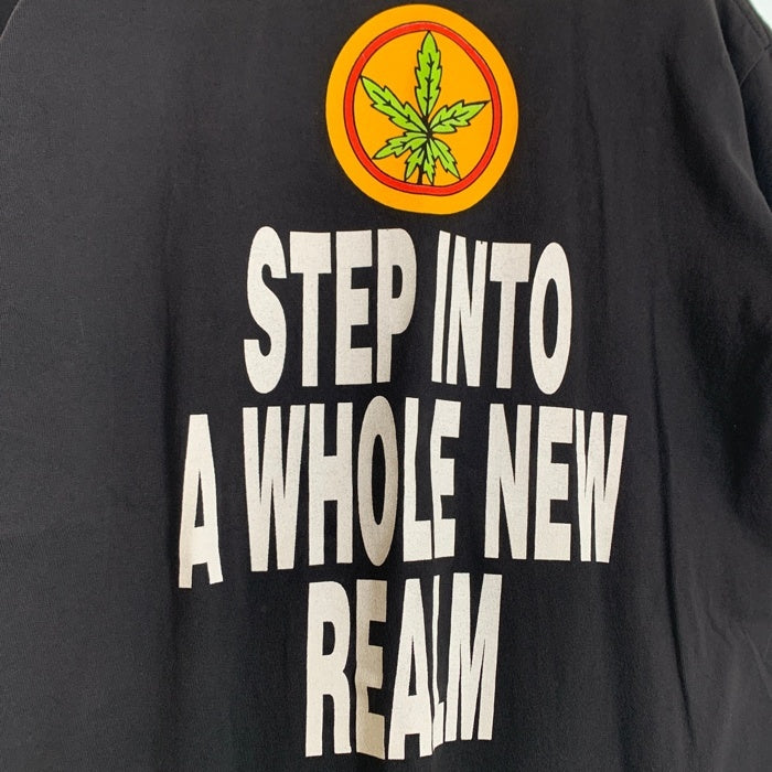 90's CYPRESS HILL サイプレスヒル STEP INTO A WHOLE NEW REALM プリントTシャツ ブラック GEM USA製 1993コピーライト Size XL 福生店