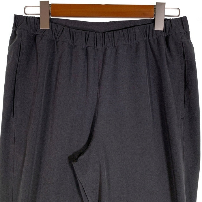 THE NORTH FACE ノースフェイス Flexible Ankle Pant フレキシブル アンクル パンツ チャコールグレー NB42388 Size L 福生店