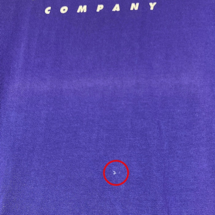 BUZZ RICKSON バズリクソン The Skunk Works プリントTシャツ パープル sizeXL 瑞穂店