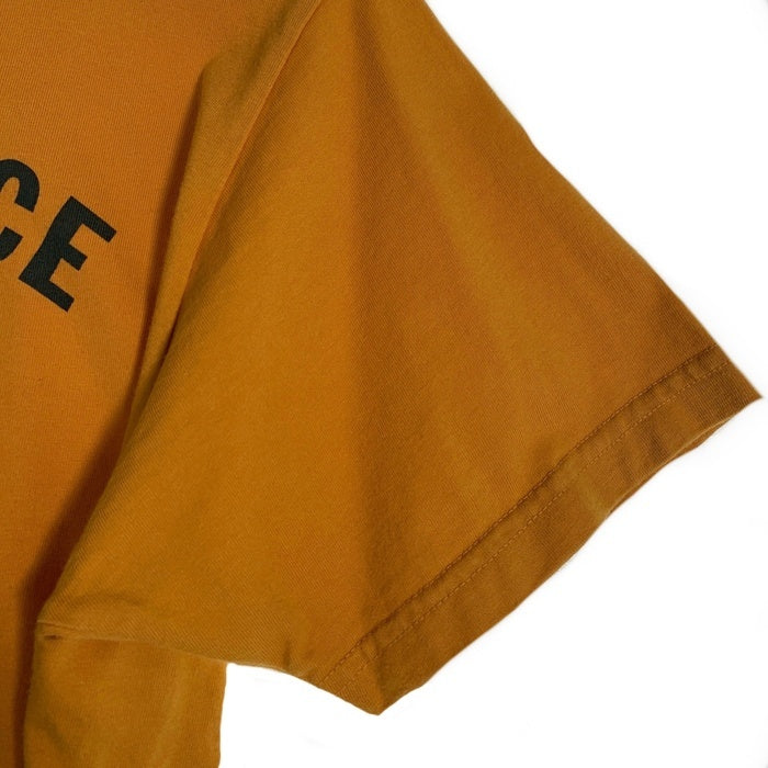 BUZZ RICKSON`S バズリクソンズ U.S. AIR FORCE T-Shirts エアフォース プリント Tシャツ ゴールド Size M 福生店