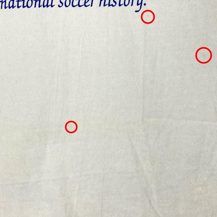 NUTMEG ナツメグ USA製 シングルステッチ 1994 FIFA World Cup USA Tシャツ ホワイト sizeL タグ付き 瑞穂店
