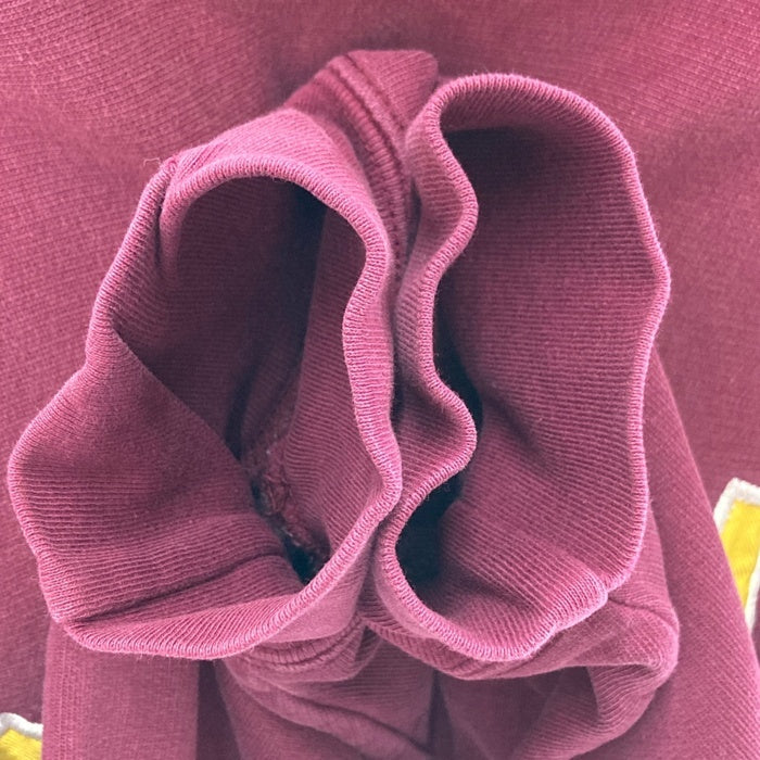 STEVE BARRY'S スティーブアンドバリーズ カレッジロゴ CENTRAL スウェット プルオーバーパーカー ボルドー sizeL 瑞穂店