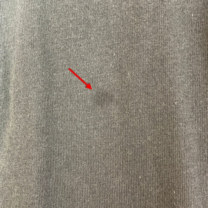 ESSENTIALS エッセンシャルズ 1977 プリントロングTシャツ グレー sizeM※フロントシミあり 瑞穂店