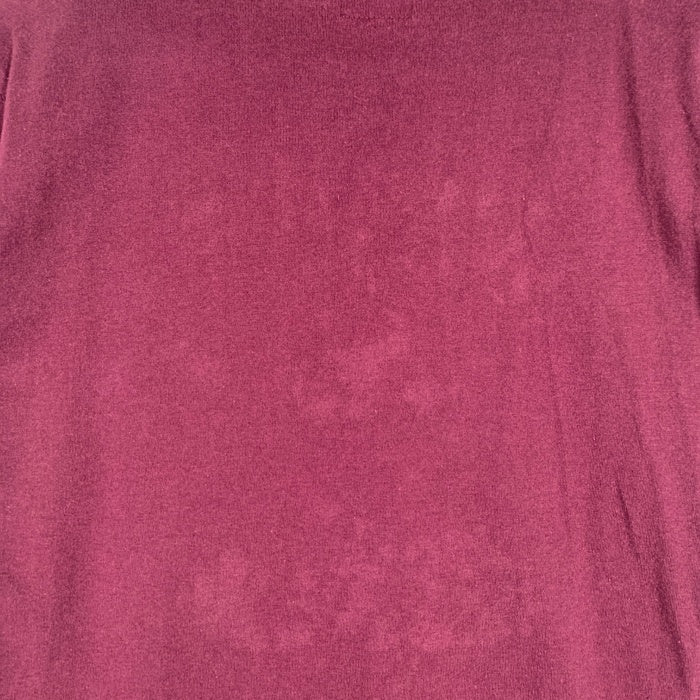Evisu エヴィス 前V MANIAC プリントTシャツ パープル Size S 福生店