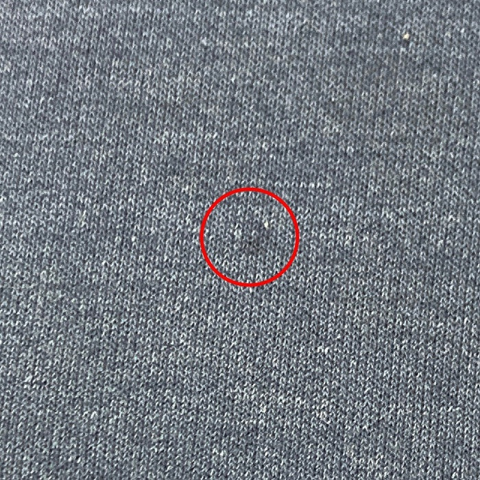 Carhartt カーハート パーカー 袖プリント ネイビー SizeL 瑞穂店