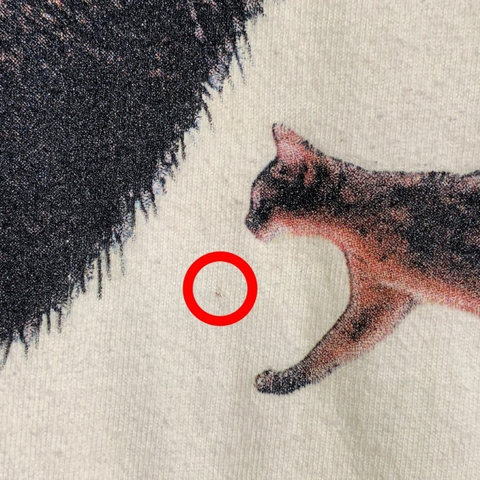 00's~ Abyssian 猫 プリントTシャツ ホワイト ギルダン2枚タグ Size XL 福生店