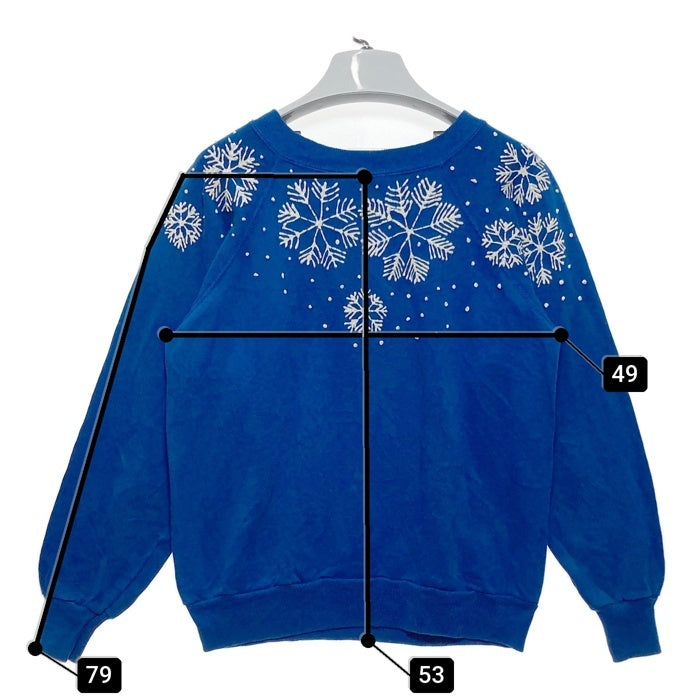 Pannill パニール by Hanes 90's USA製 雪柄プリント スウェットトレーナー ブルー sizeM 瑞穂店
