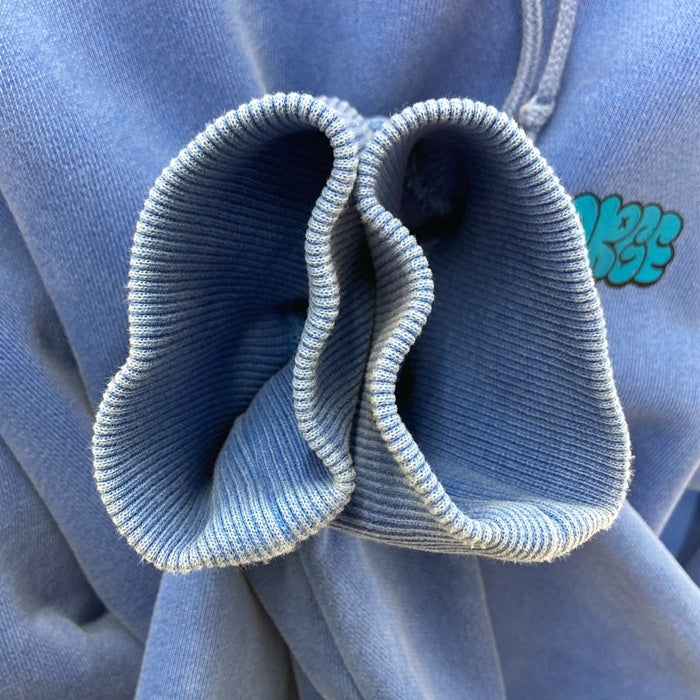 XLARGE エクストララージ PIGMENT BURN DOWN プルオーバーパーカー ブルー sizeL 瑞穂店