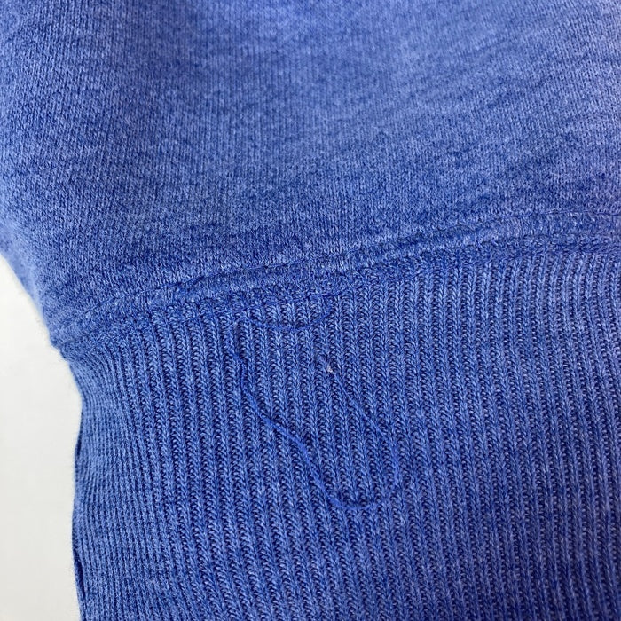 Champion チャンピオン 青刺繡タグ USA製 刺繡ロゴ スウェットトレーナー ライトブルー sizeL 瑞穂店