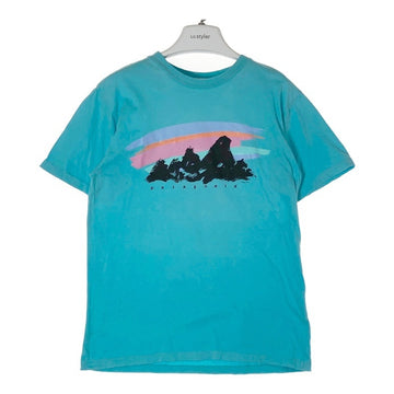 PATAGONIA パタゴニア 80s グラフィック Tシャツ ターコイズ sizeL 瑞穂店