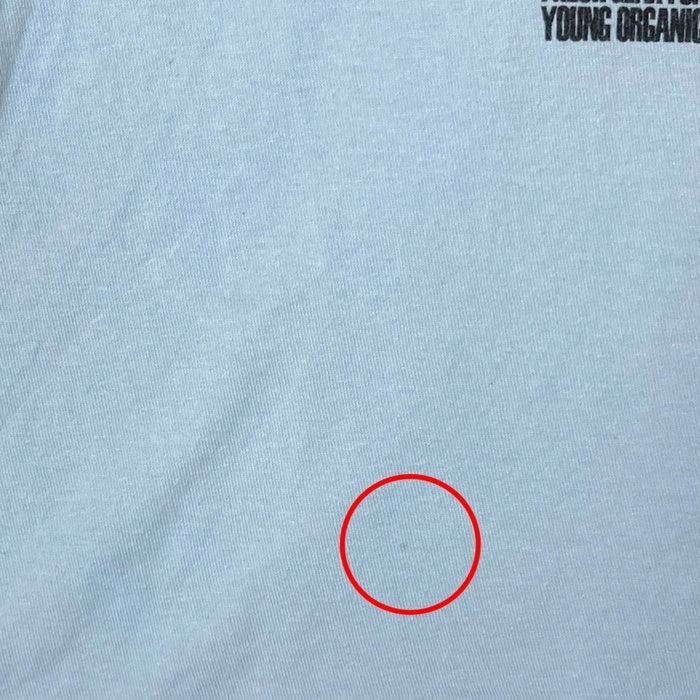 STUSSY ステューシー フラワーフォト 両面プリント Tシャツ ライトブルー sizeM 瑞穂店