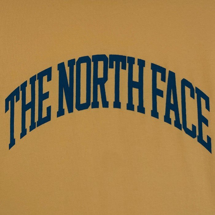 THE NORTH FACE PURPLE LABEL ノースフェイスパープルレーベル 23SS アーチロゴ プリントTシャツ イエロー NT3324N Size M 福生店